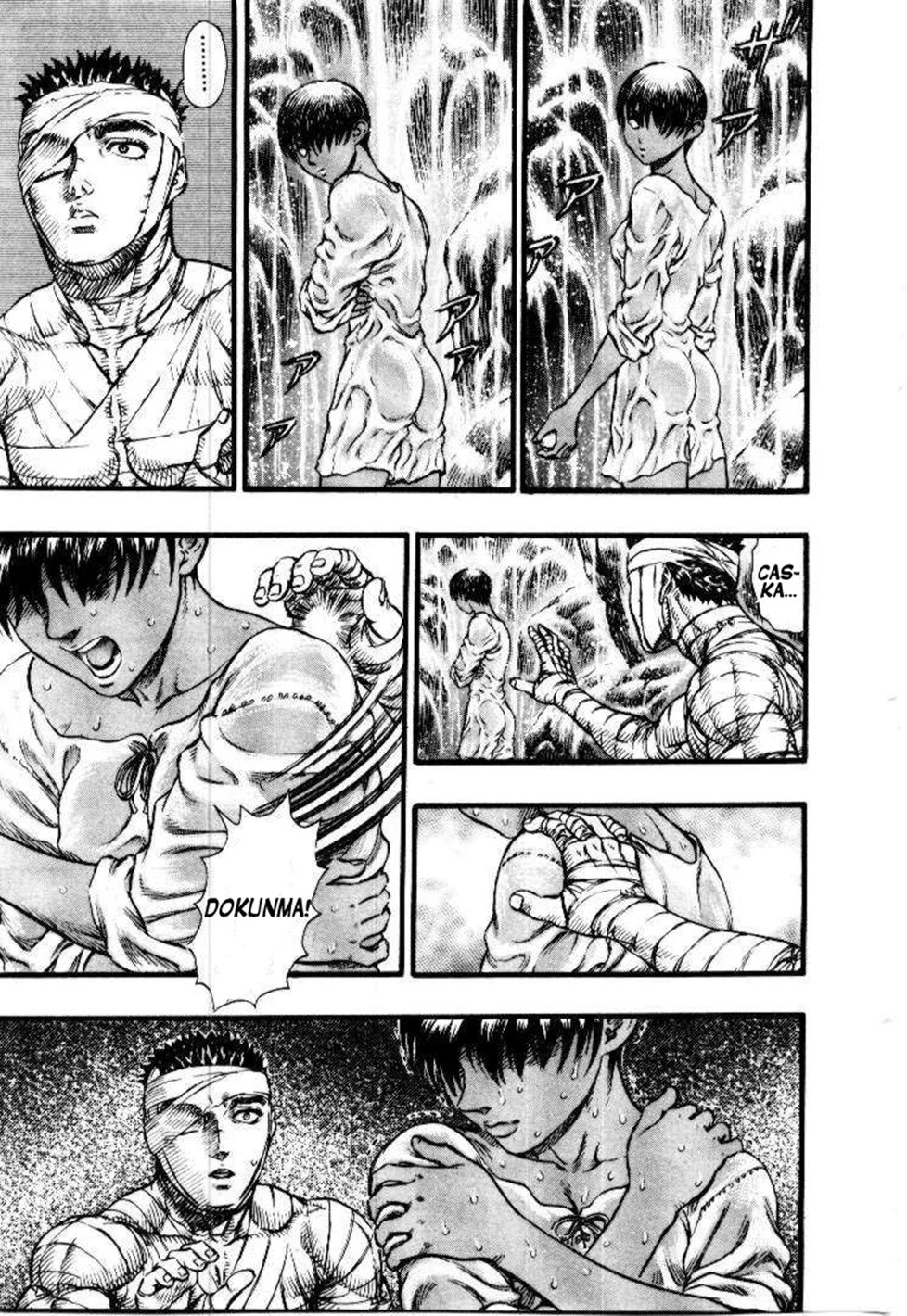 Read Berserk TR Manga Online