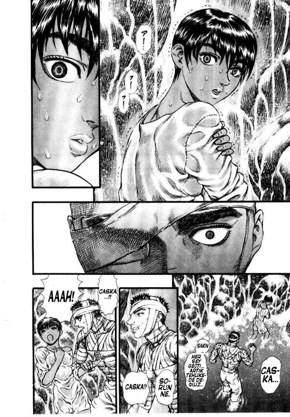 Read Berserk TR Manga Online