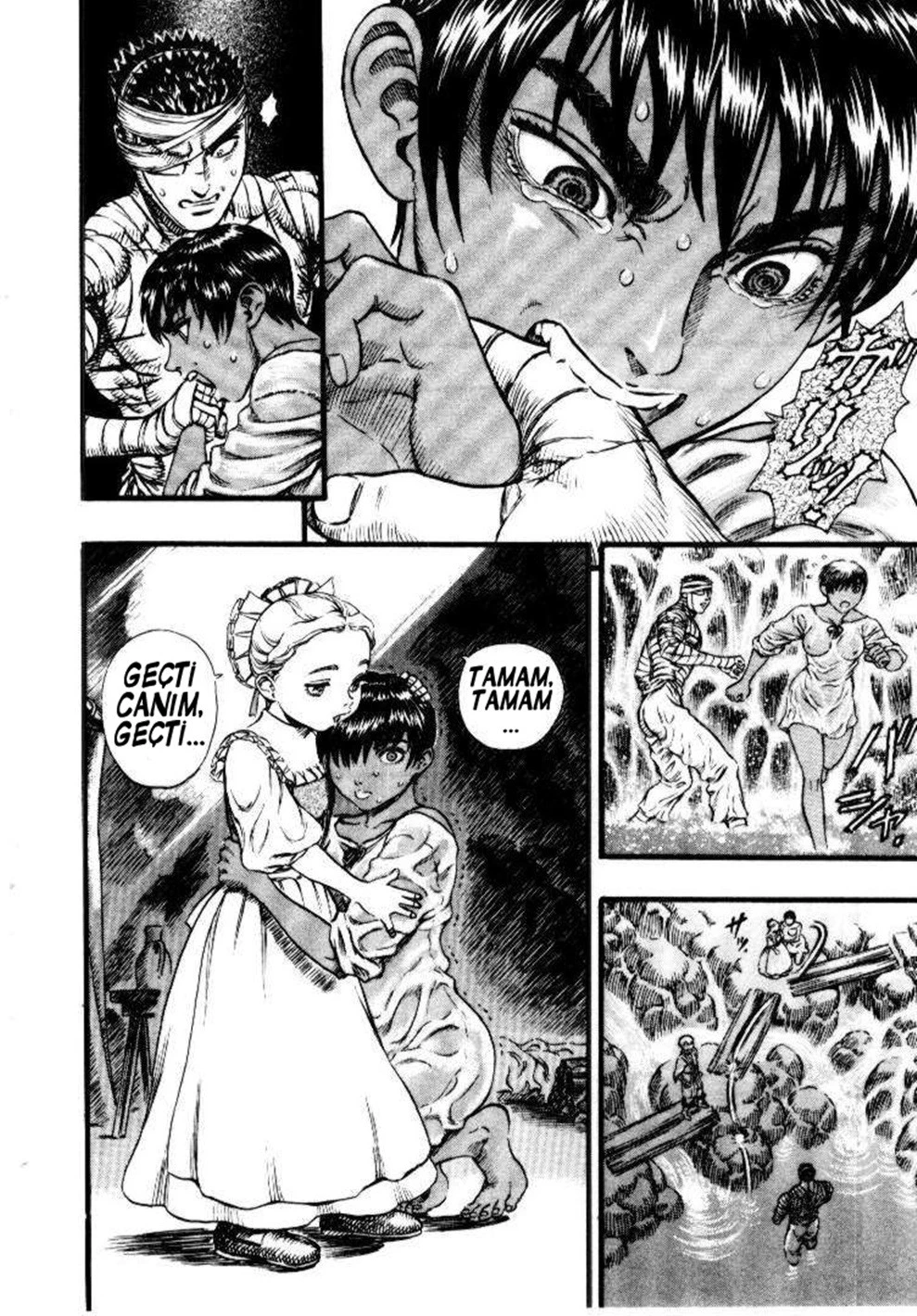 Read Berserk TR Manga Online
