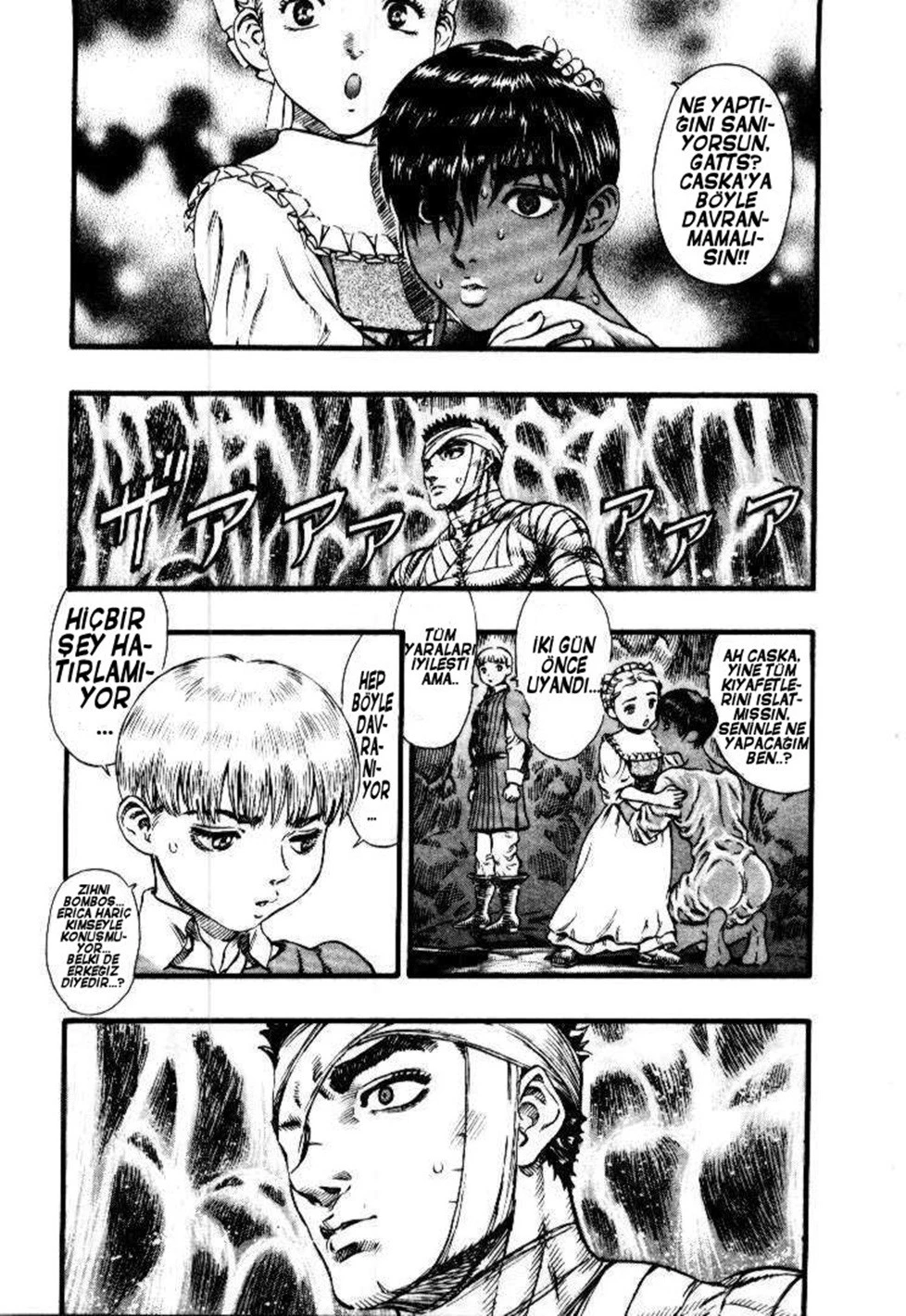 Read Berserk TR Manga Online