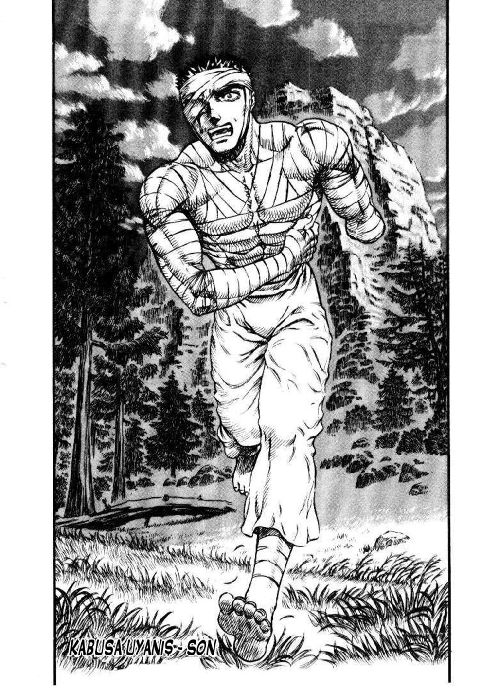 Read Berserk TR Manga Online
