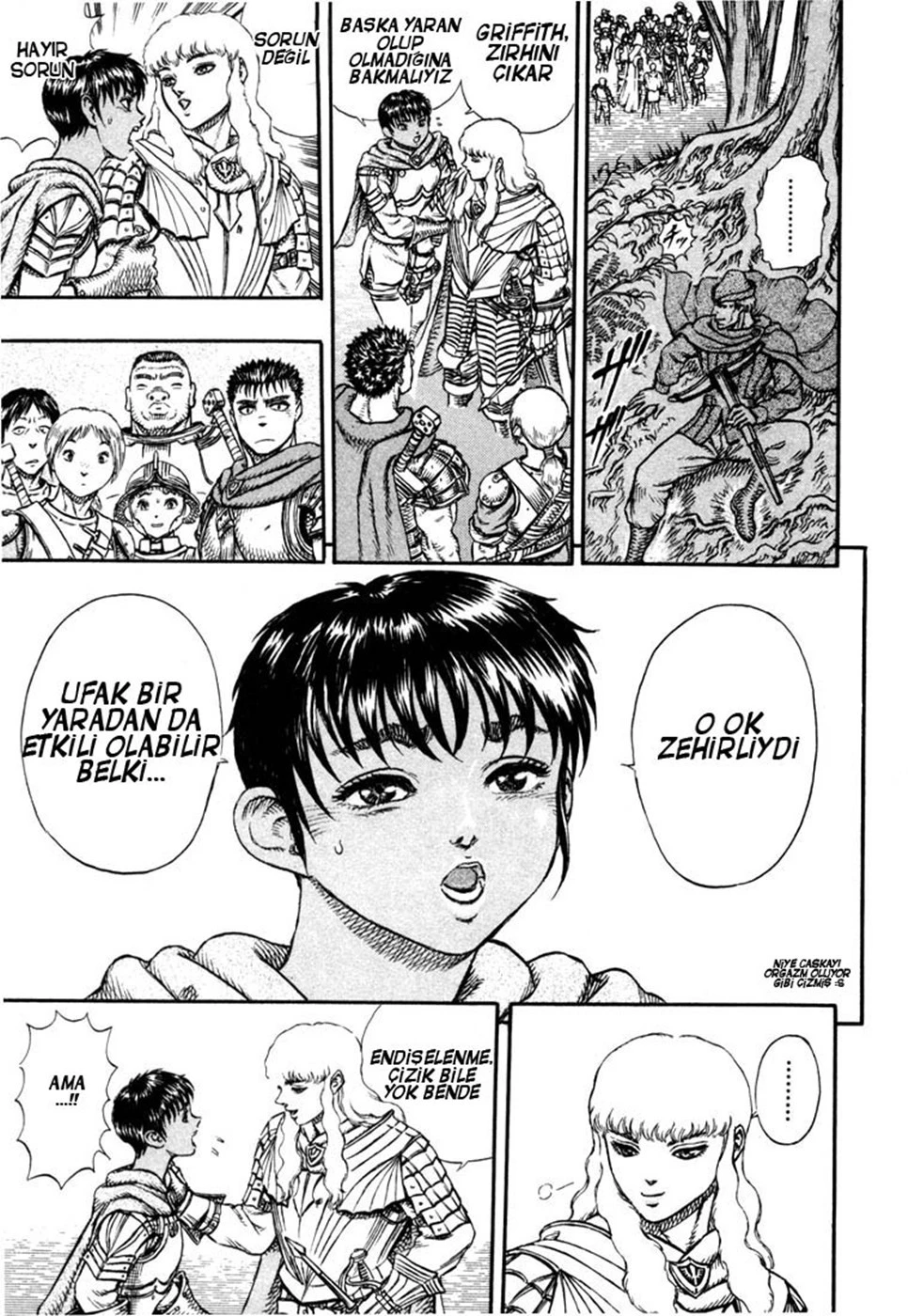 Read Berserk TR Manga Online