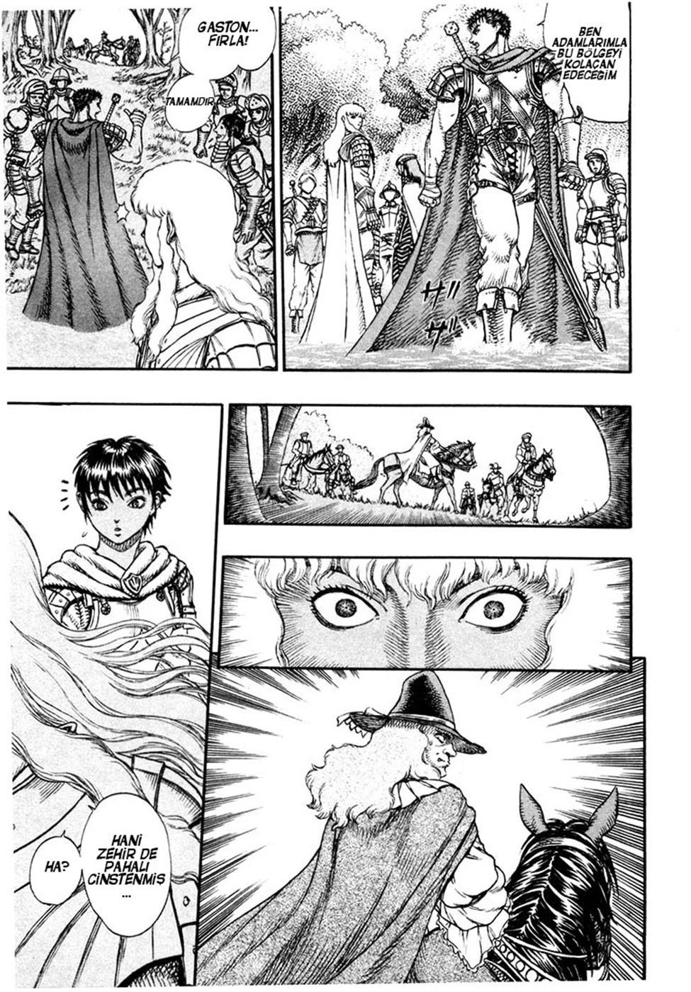 Read Berserk TR Manga Online