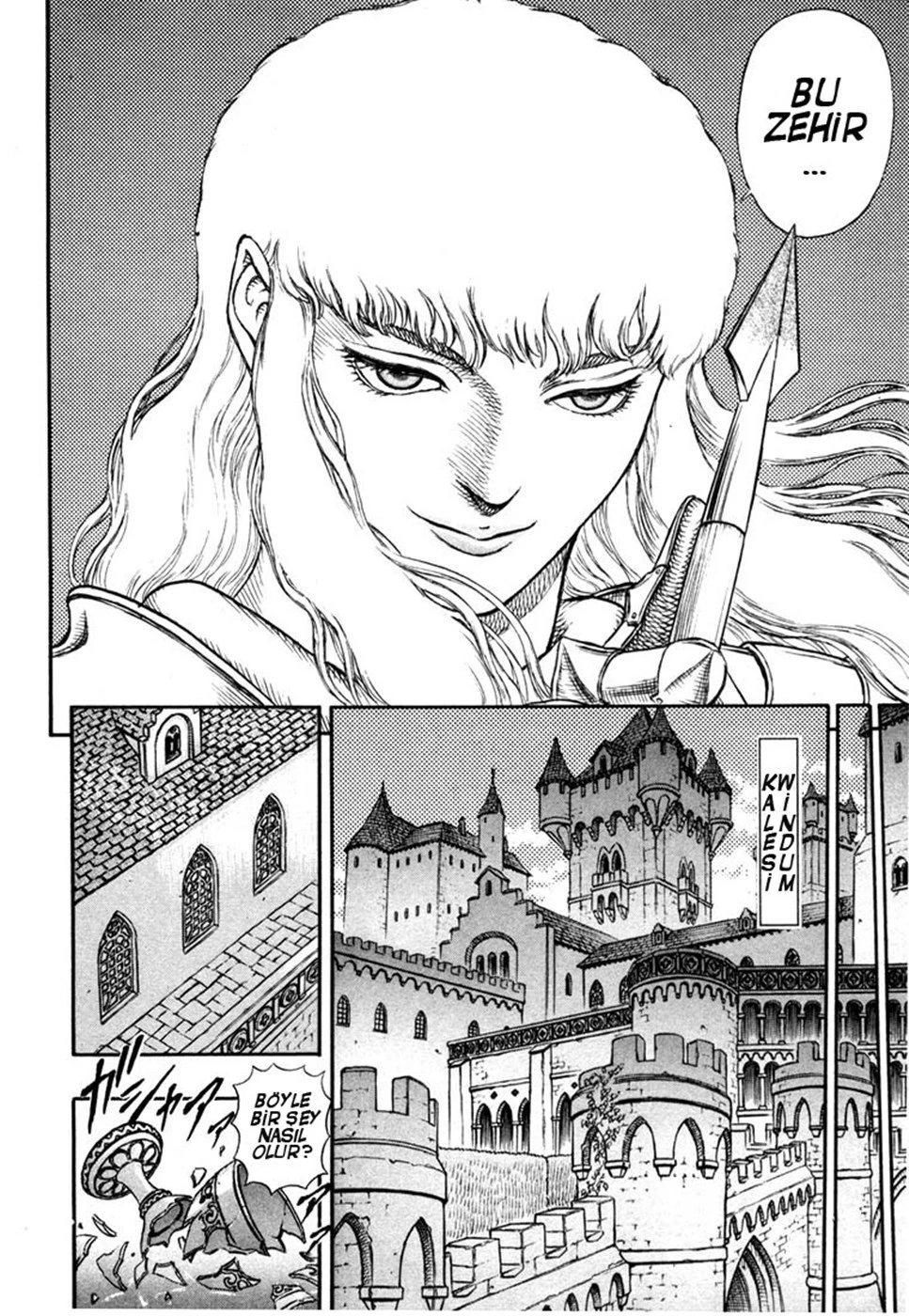 Read Berserk TR Manga Online