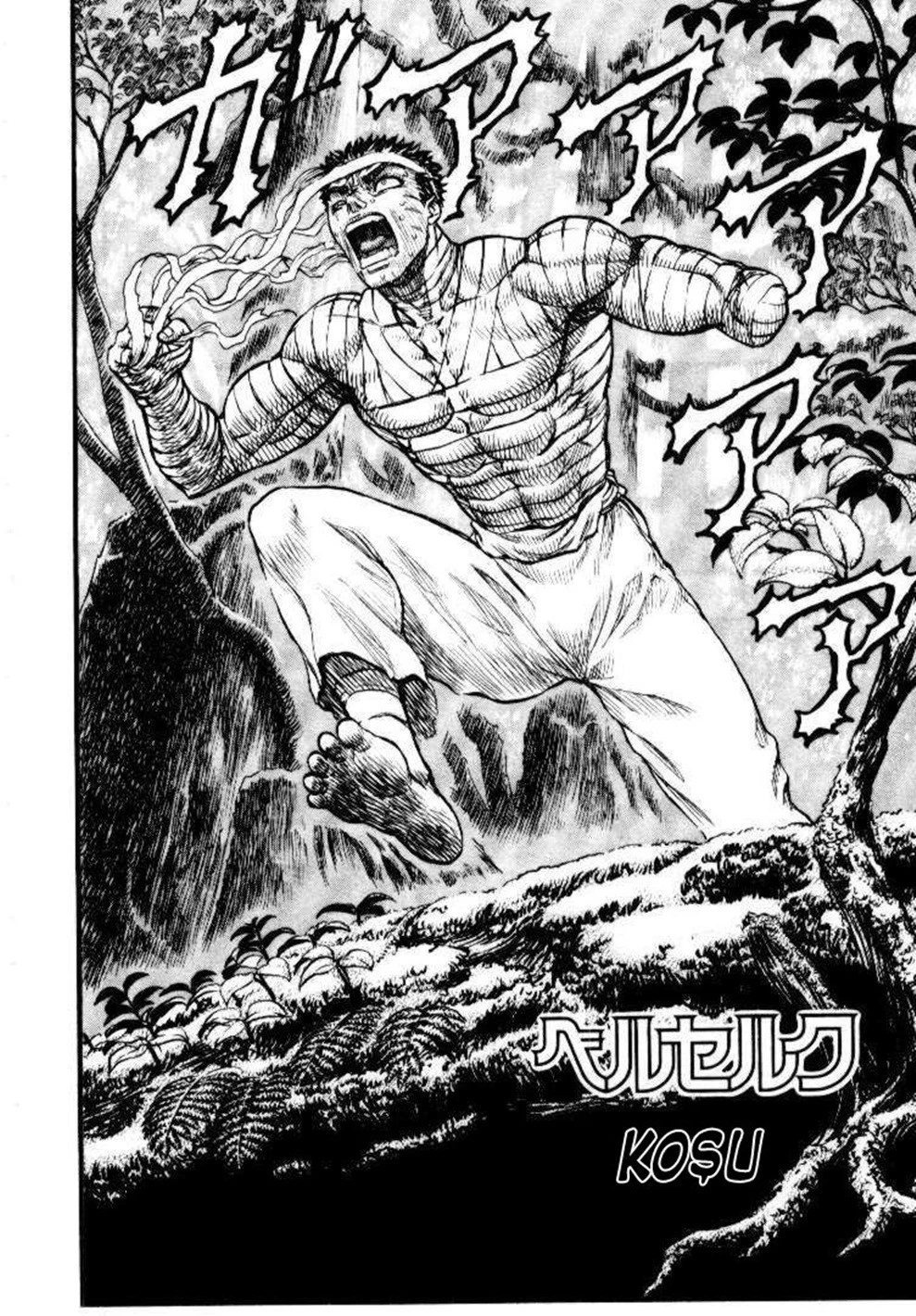 Read Berserk TR Manga Online
