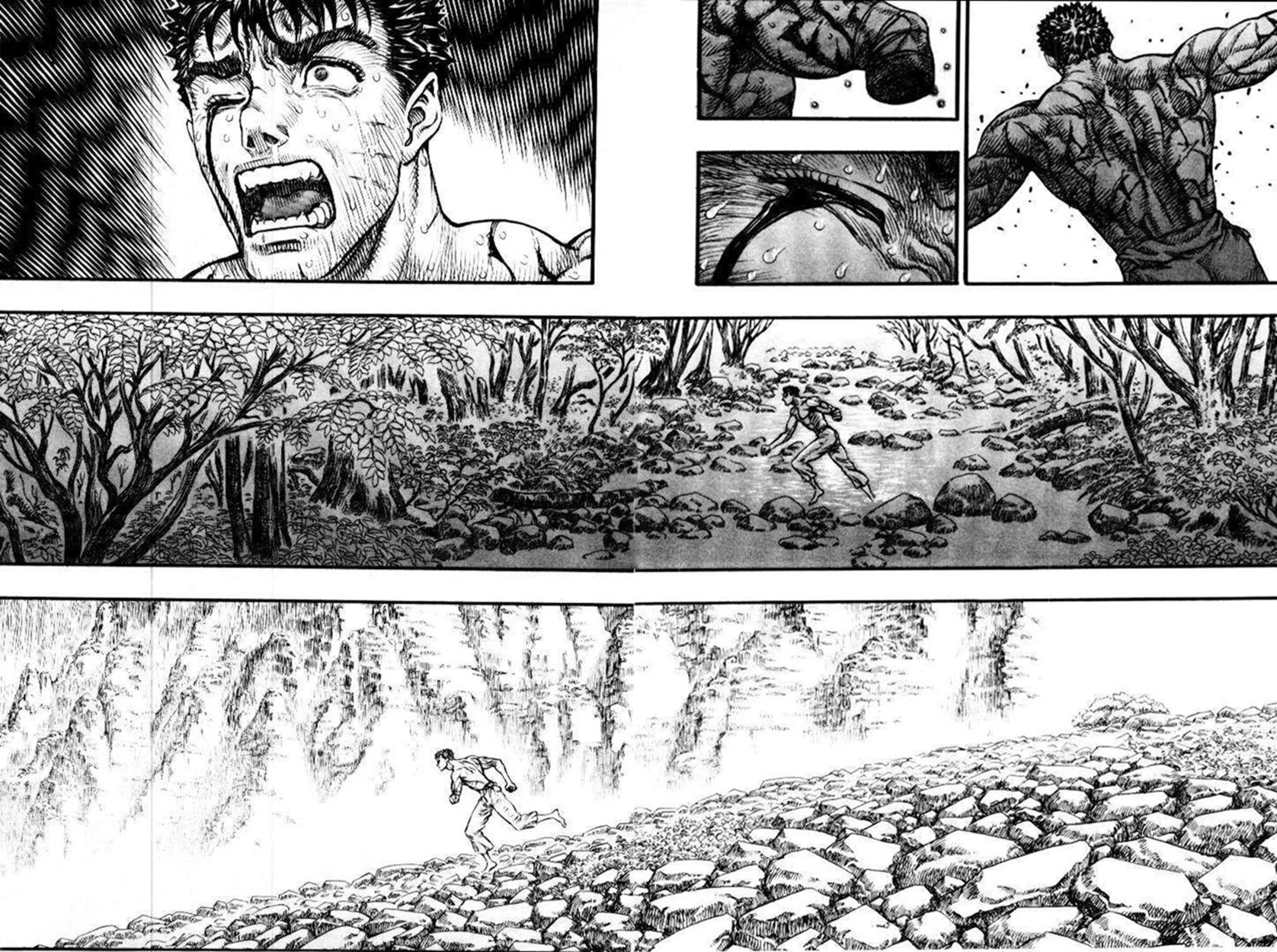 Read Berserk TR Manga Online