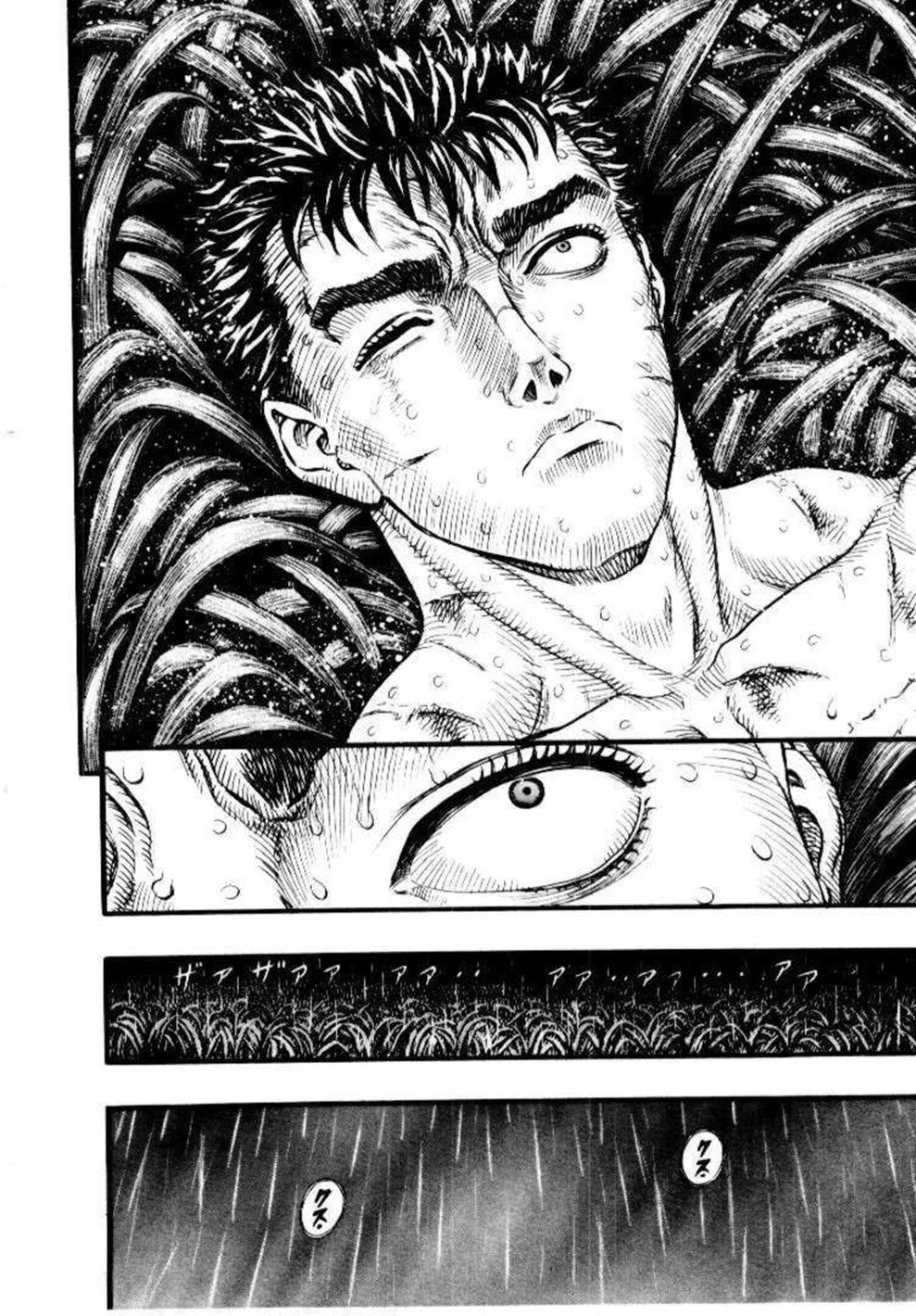 Read Berserk TR Manga Online