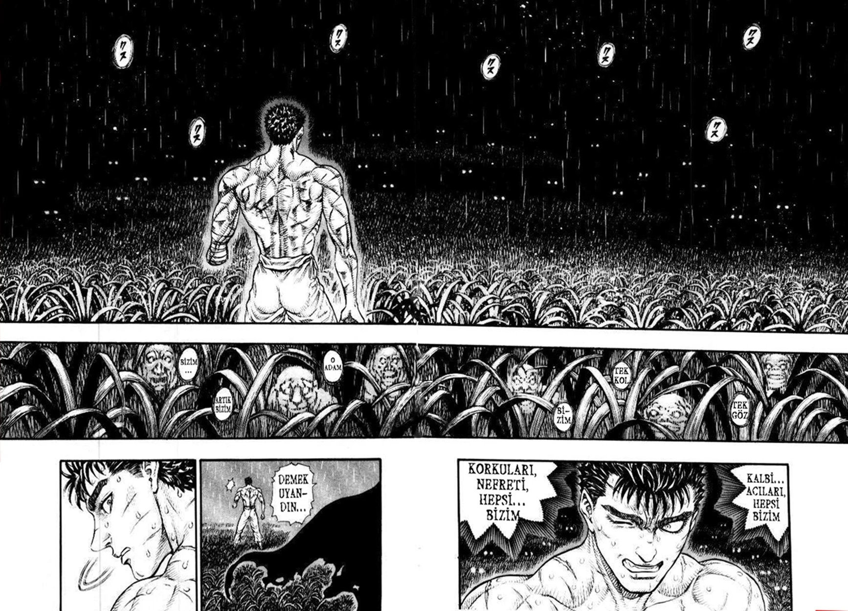 Read Berserk TR Manga Online