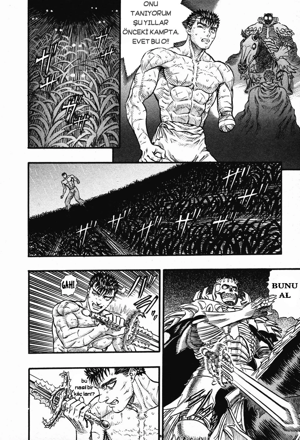 Read Berserk TR Manga Online
