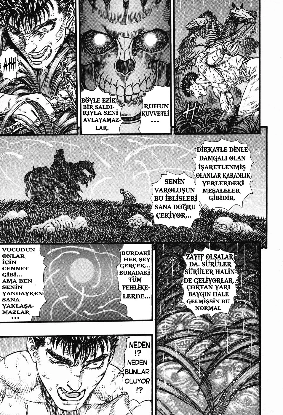 Read Berserk TR Manga Online