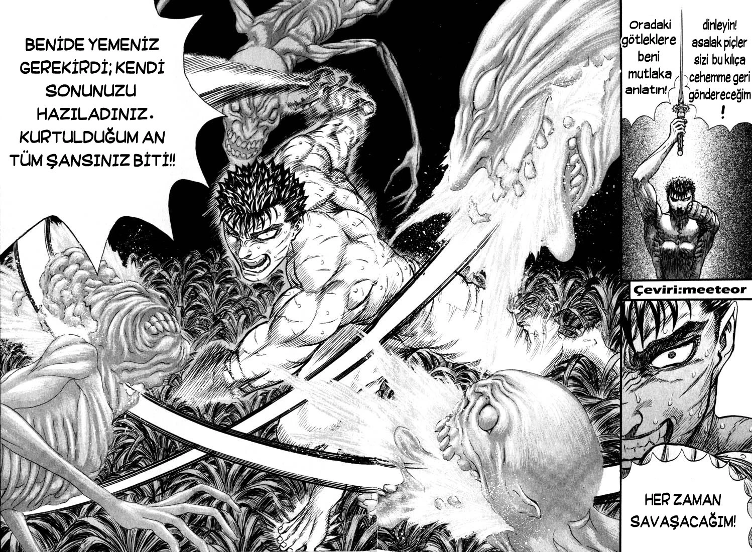 Read Berserk TR Manga Online