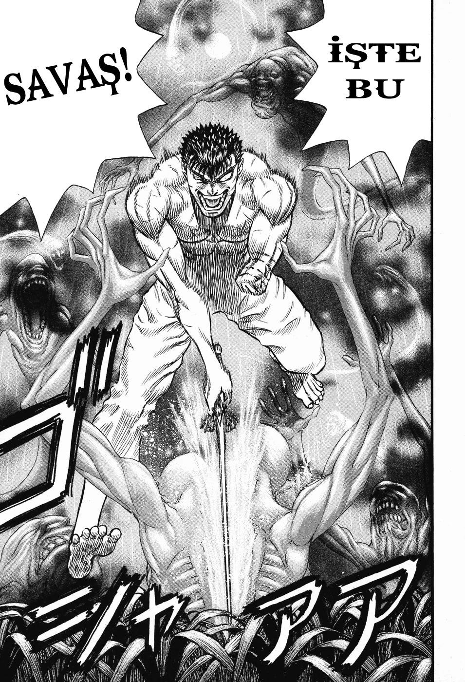 Read Berserk TR Manga Online