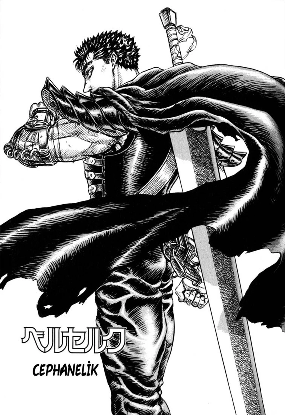 Read Berserk TR Manga Online