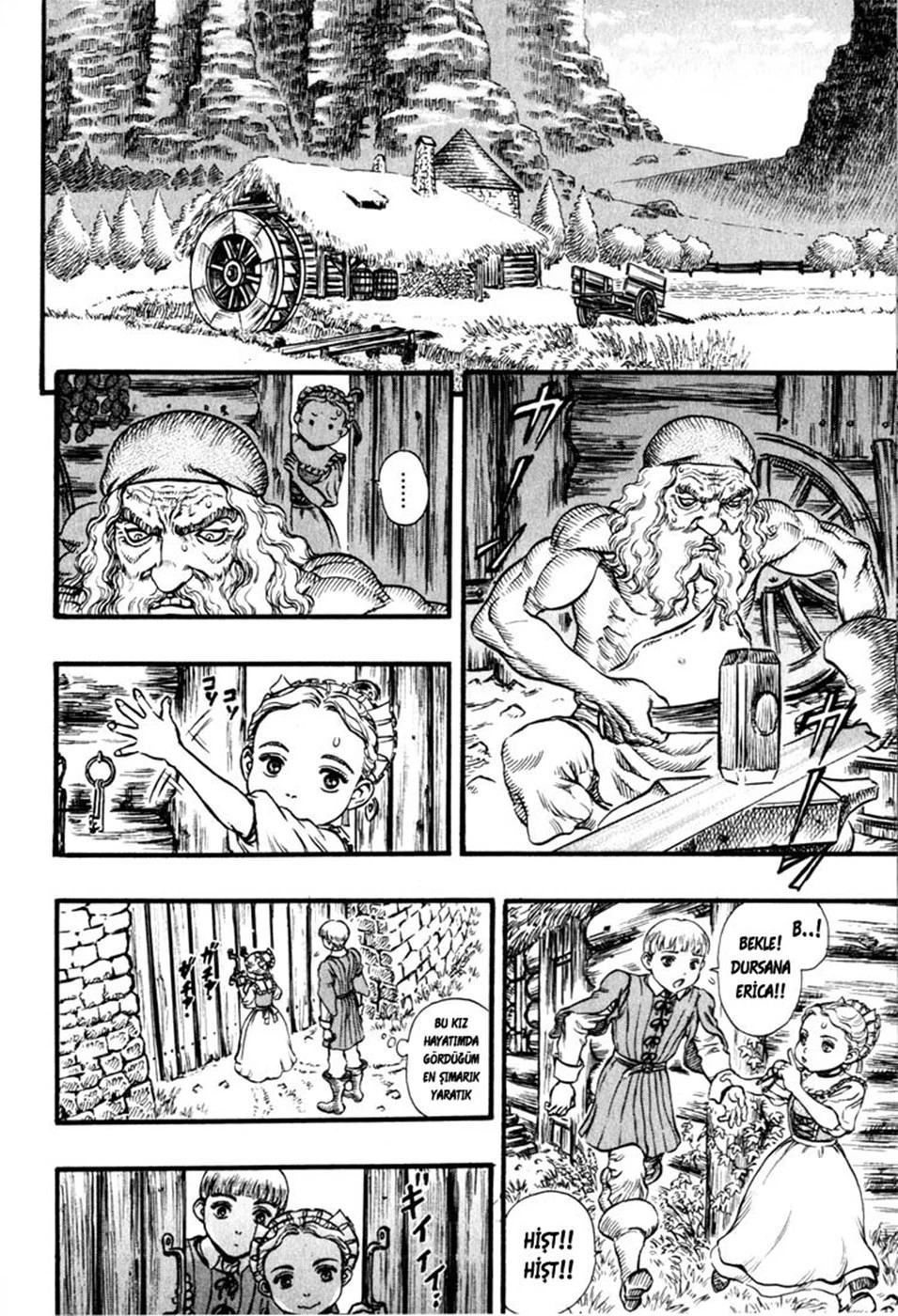 Read Berserk TR Manga Online