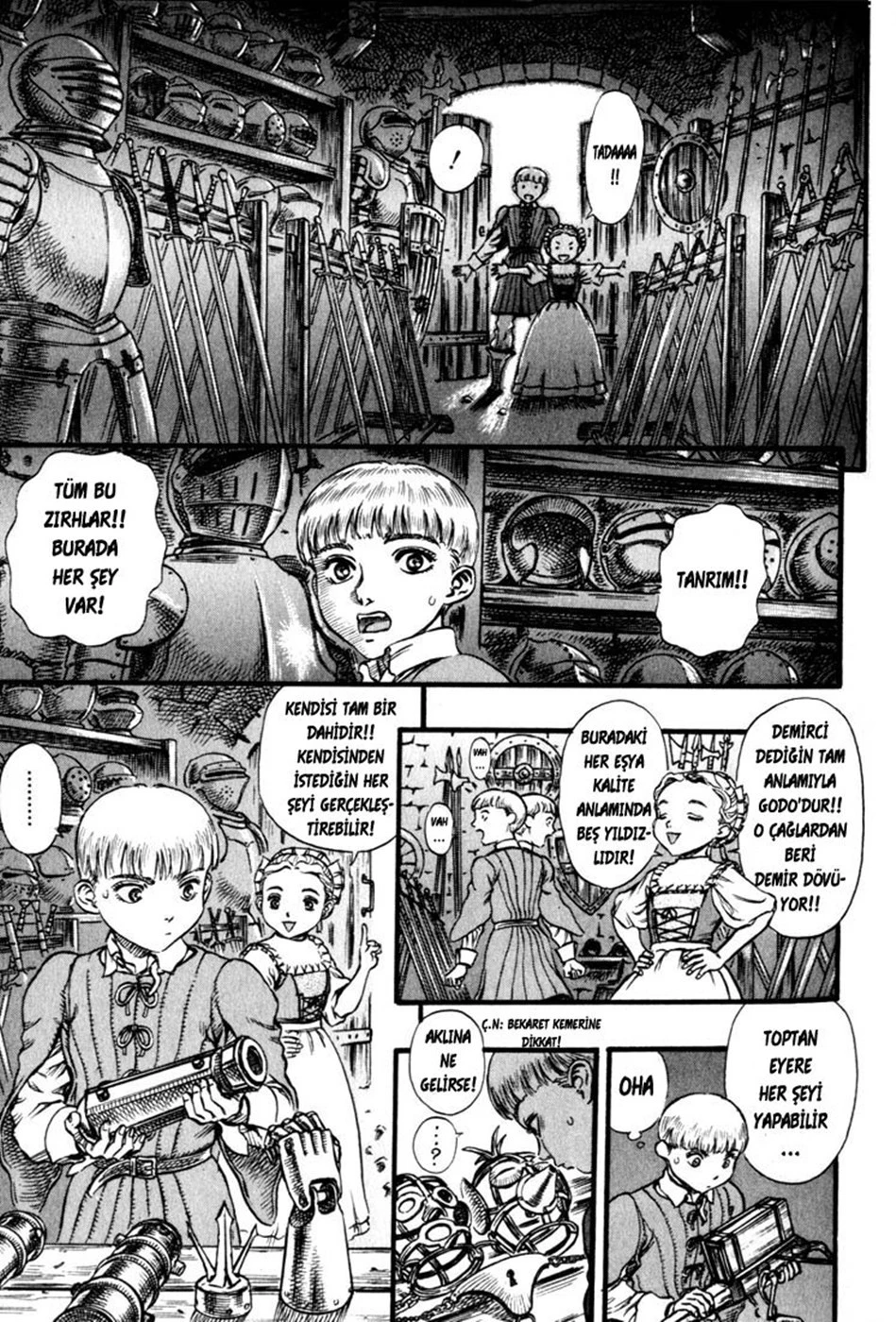 Read Berserk TR Manga Online