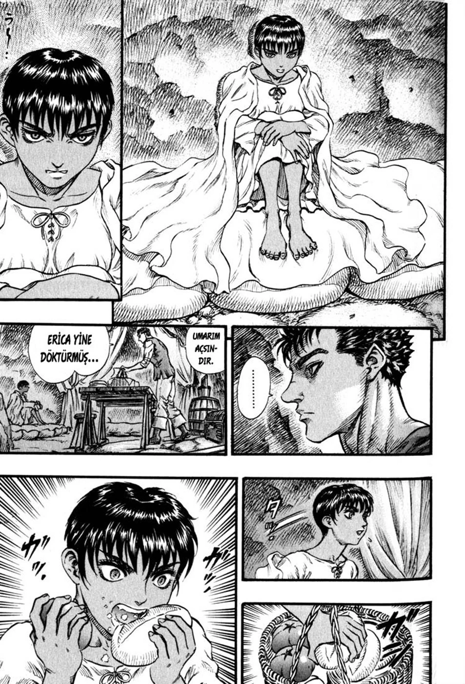 Read Berserk TR Manga Online