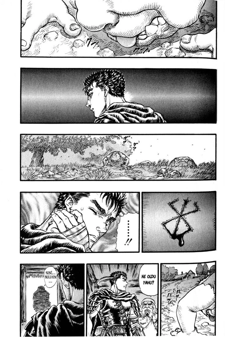 Read Berserk TR Manga Online