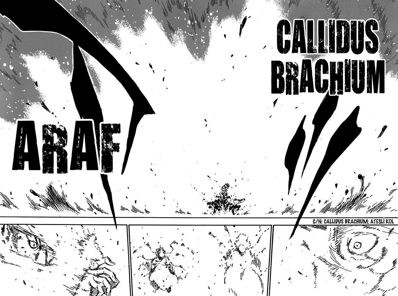 Read Black Clover TR Manga Online