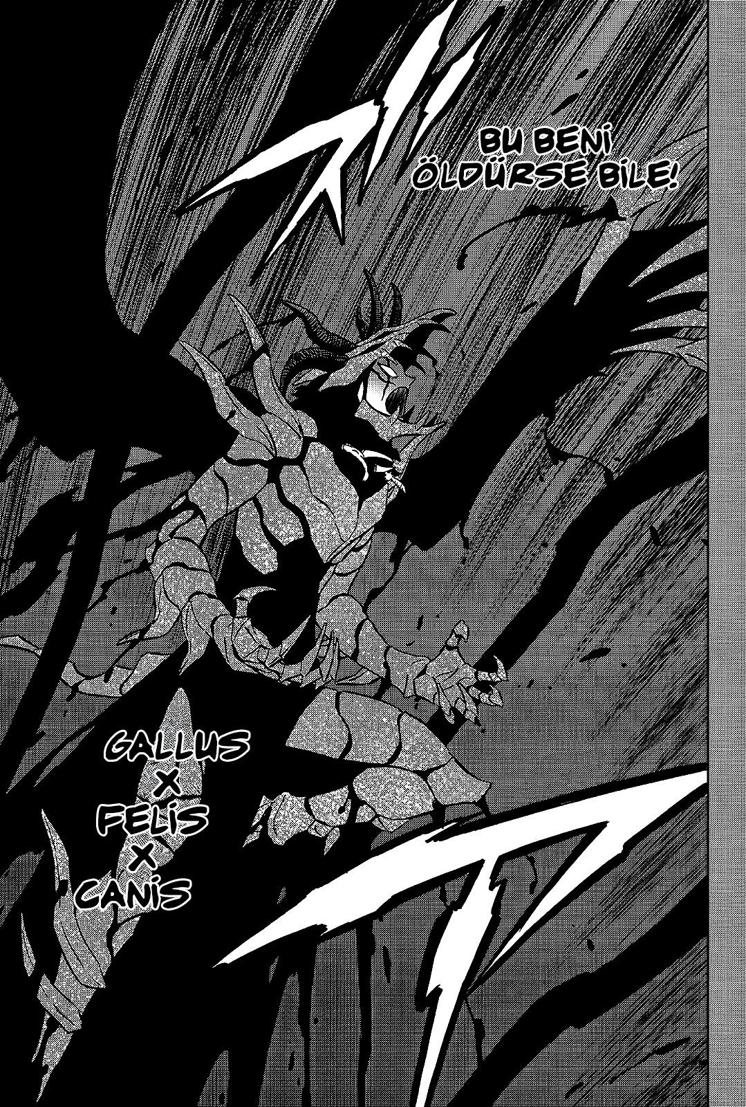 Read Black Clover TR Manga Online