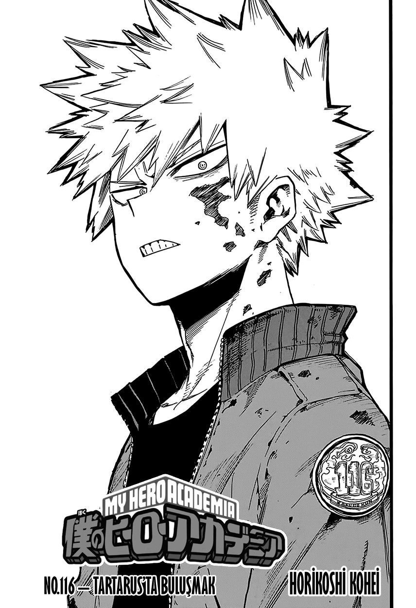 Read Boku no Hero Academia TR Manga Online