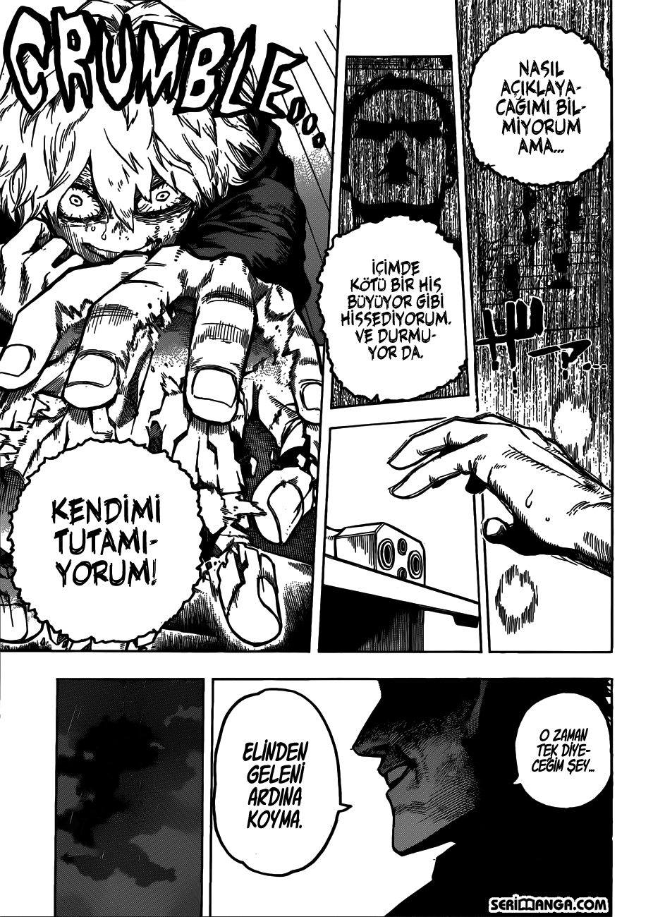 Read Boku no Hero Academia TR Manga Online