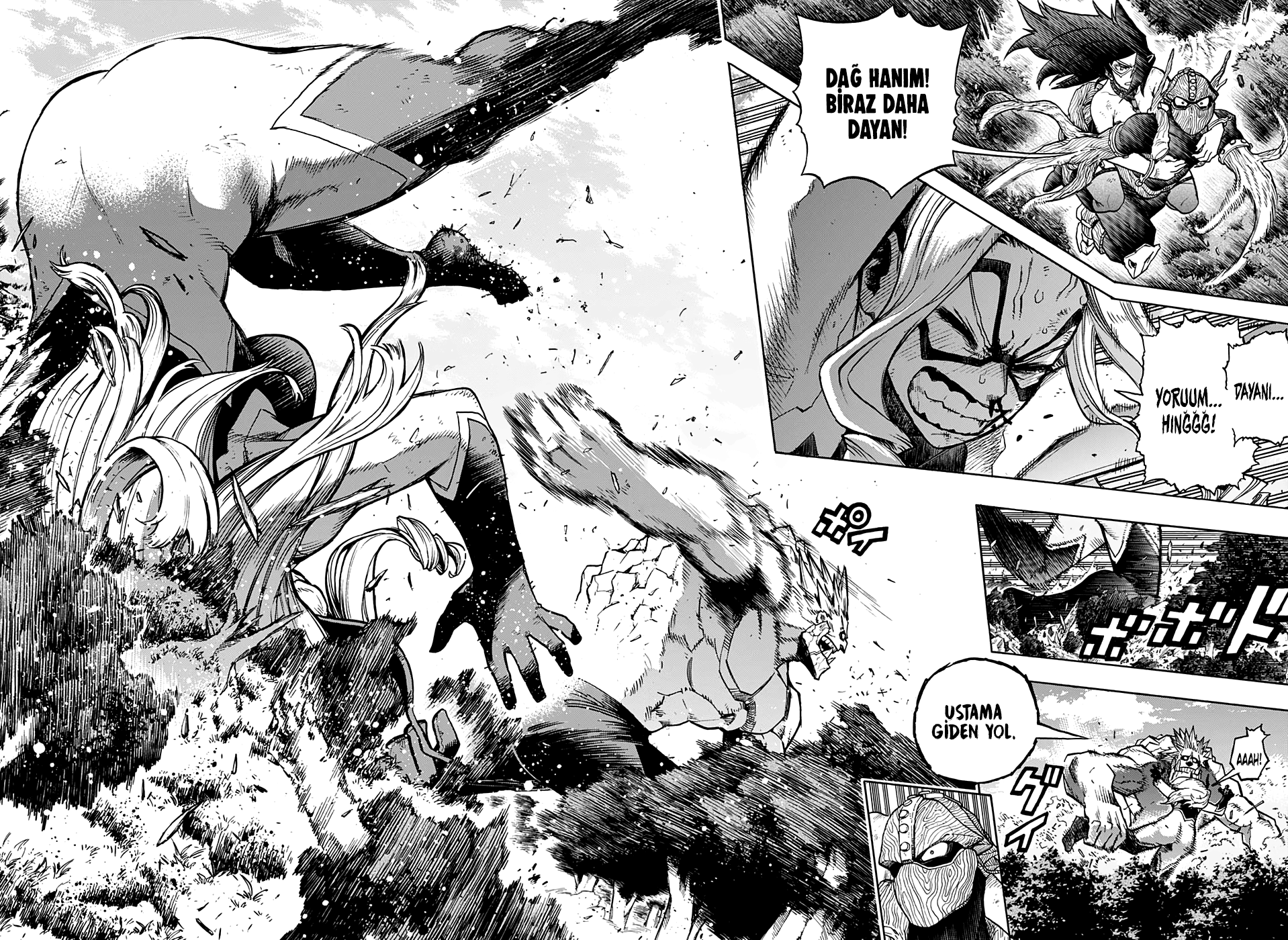 Read Boku no Hero Academia TR Manga Online