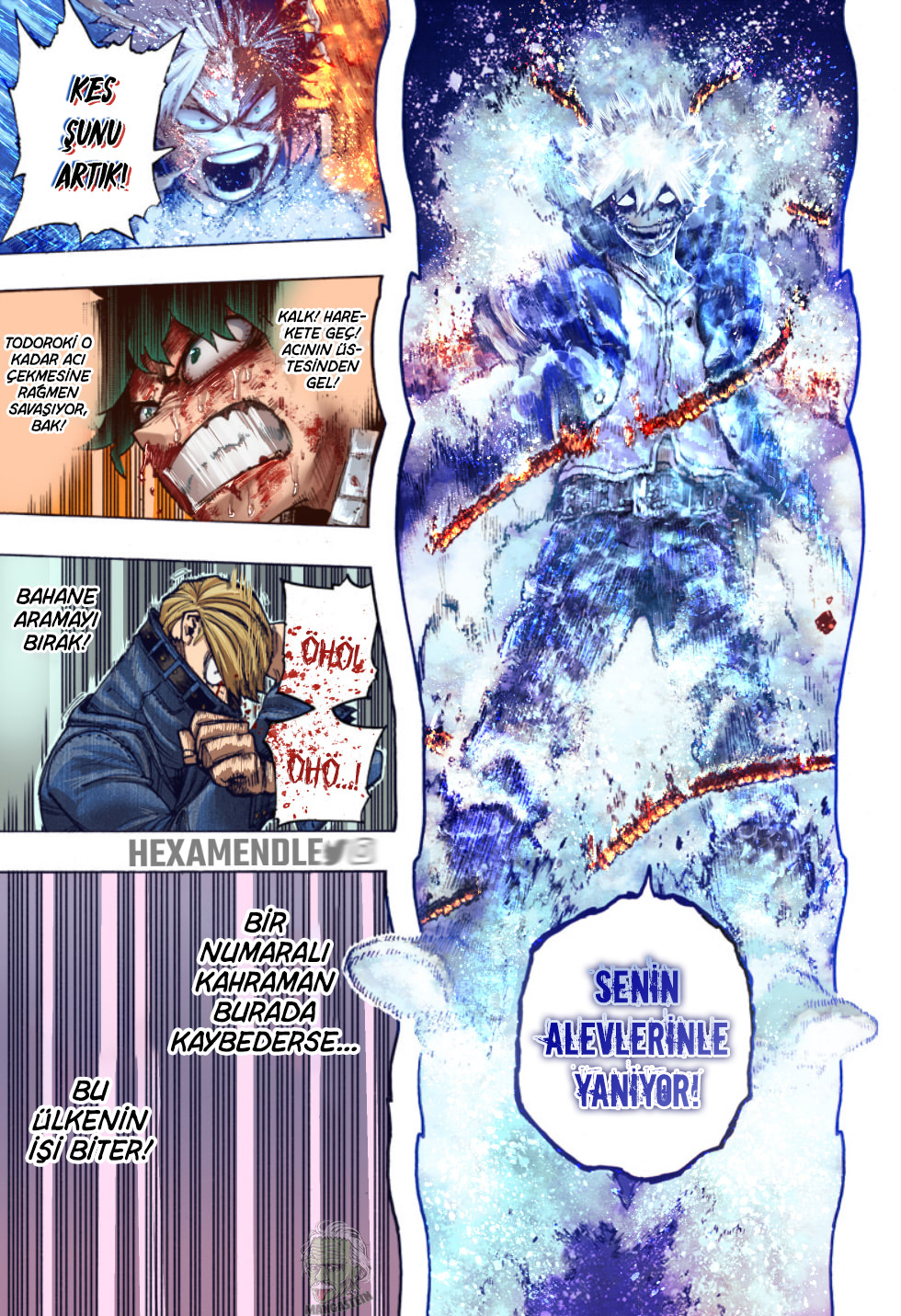 Read Boku no Hero Academia TR Manga Online