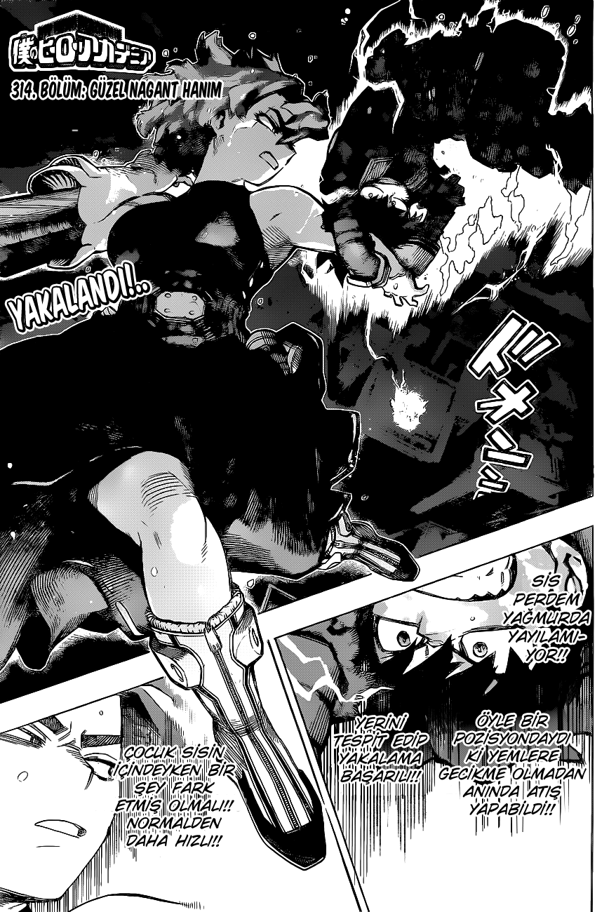 Read Boku no Hero Academia TR Manga Online