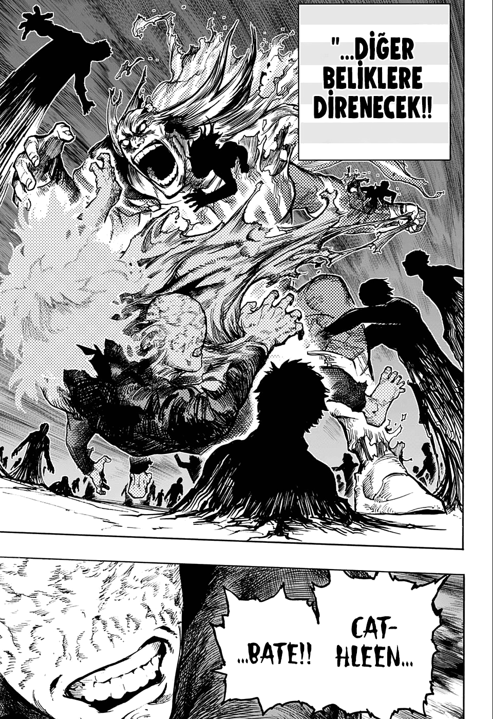 Read Boku no Hero Academia TR Manga Online