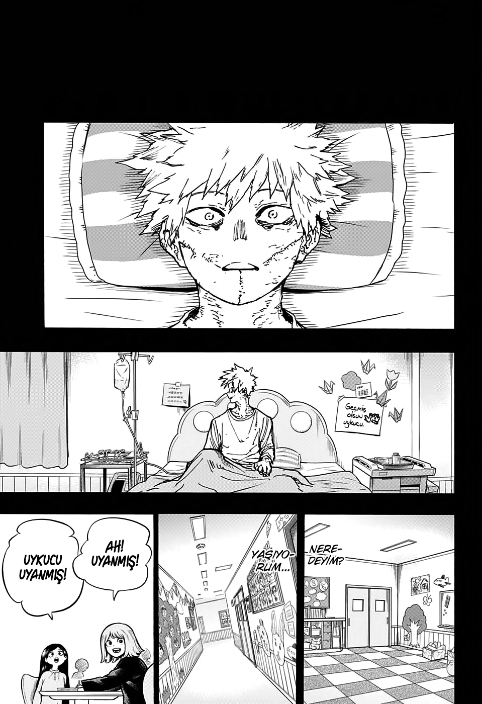 Read Boku no Hero Academia TR Manga Online