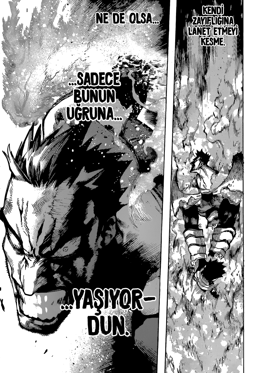 Read Boku no Hero Academia TR Manga Online