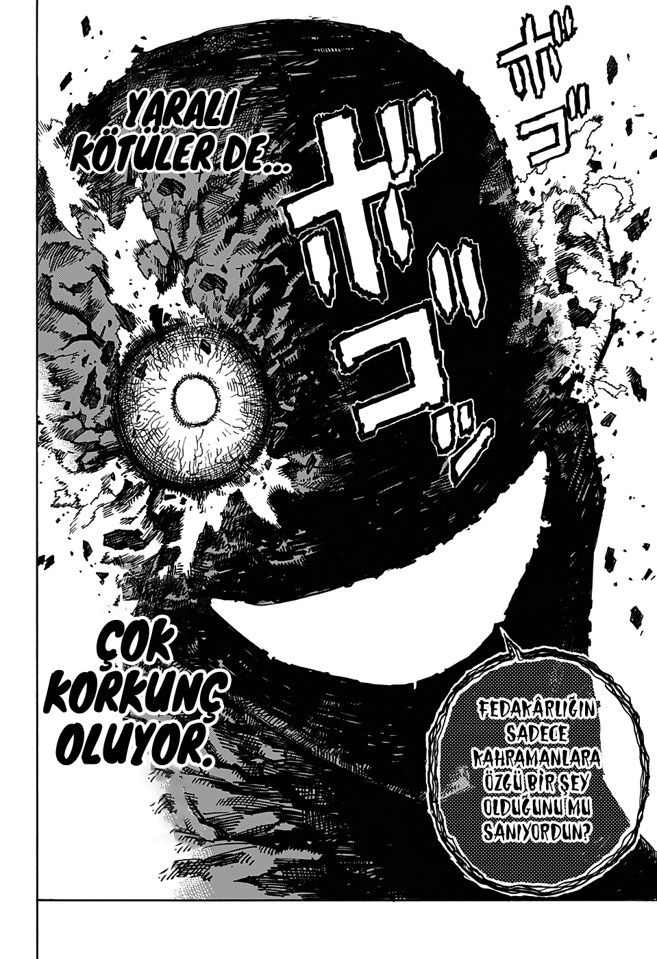 Read Boku no Hero Academia TR Manga Online