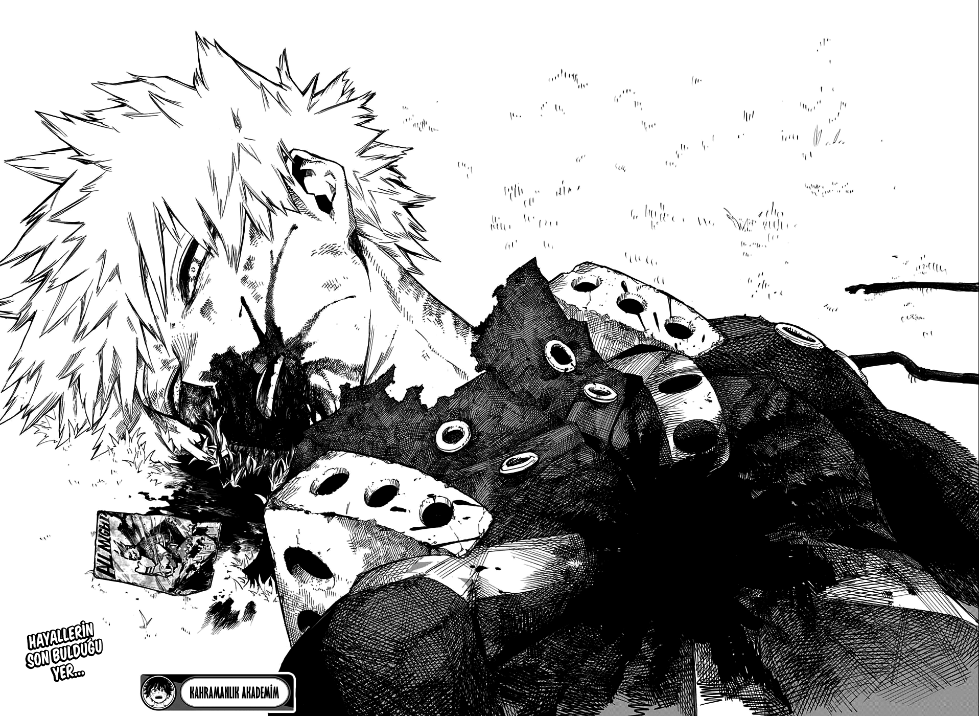 Read Boku no Hero Academia TR Manga Online
