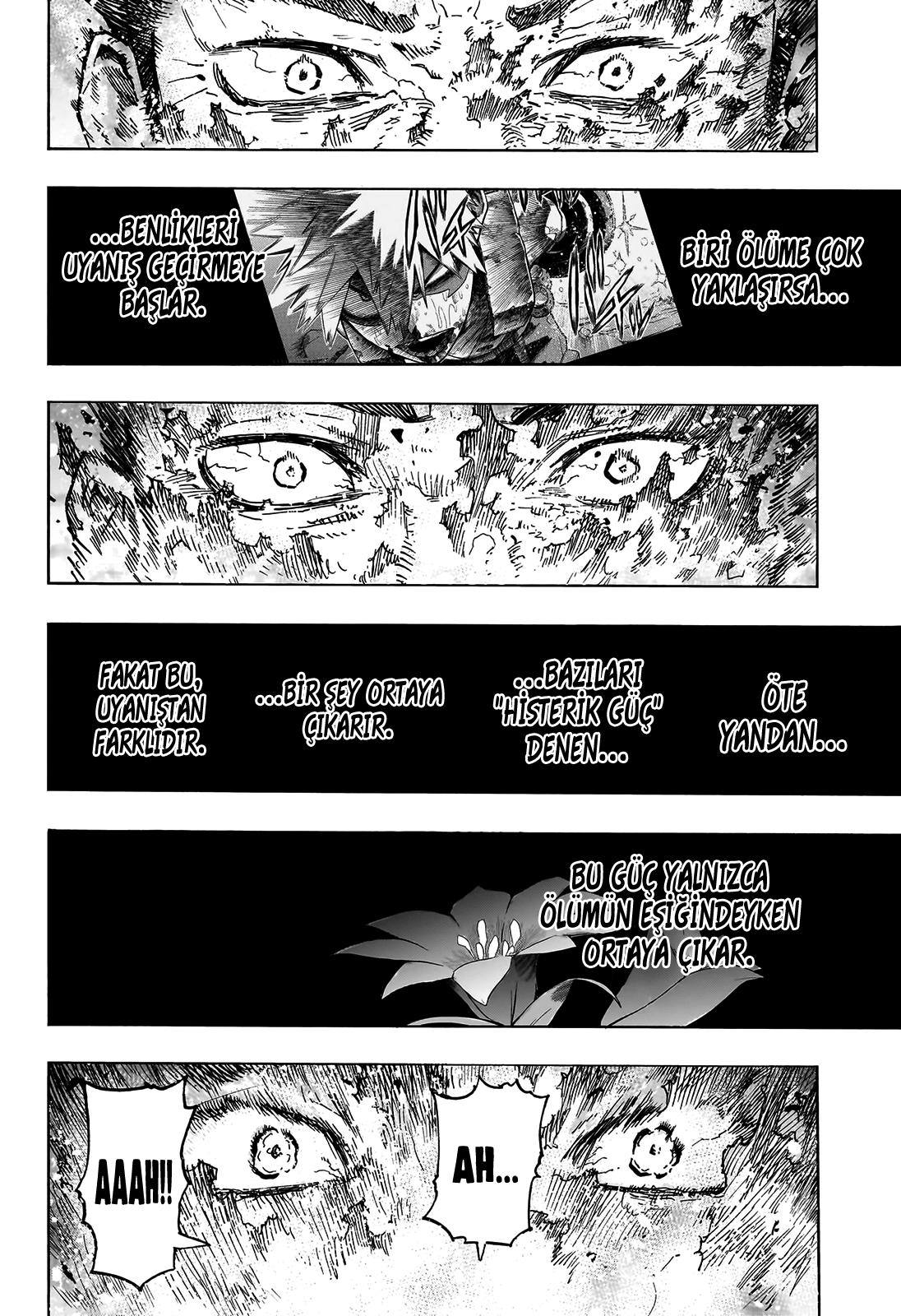 Read Boku no Hero Academia TR Manga Online
