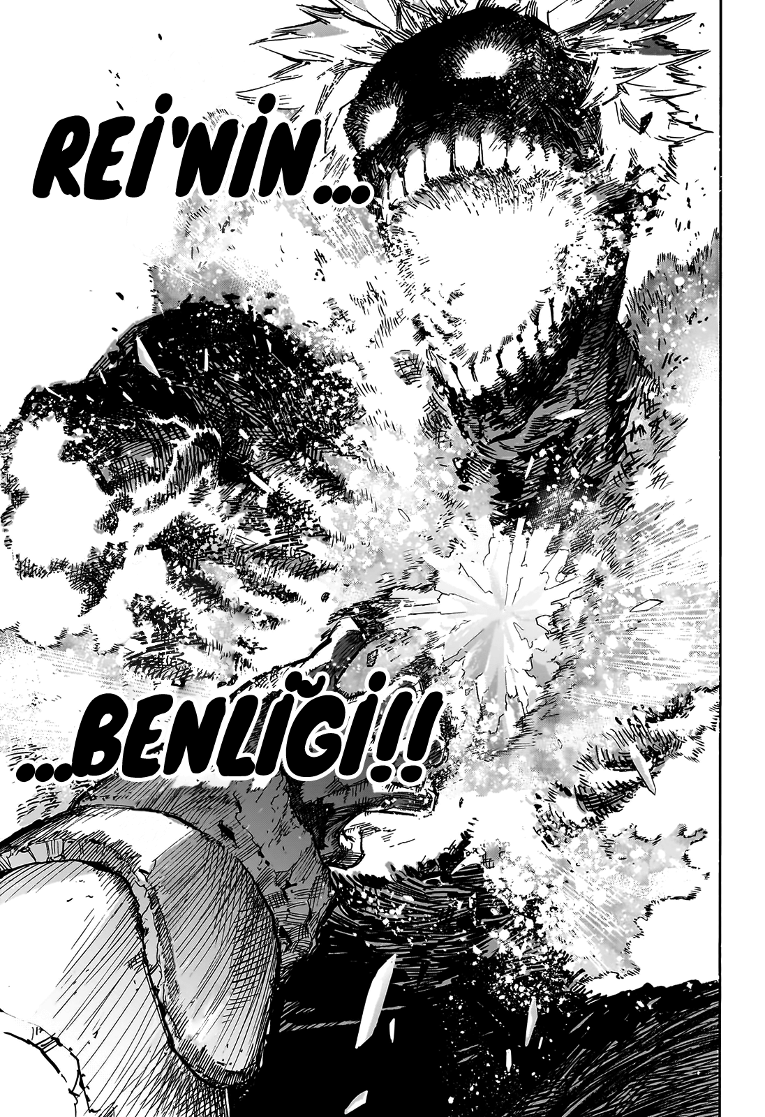 Read Boku no Hero Academia TR Manga Online