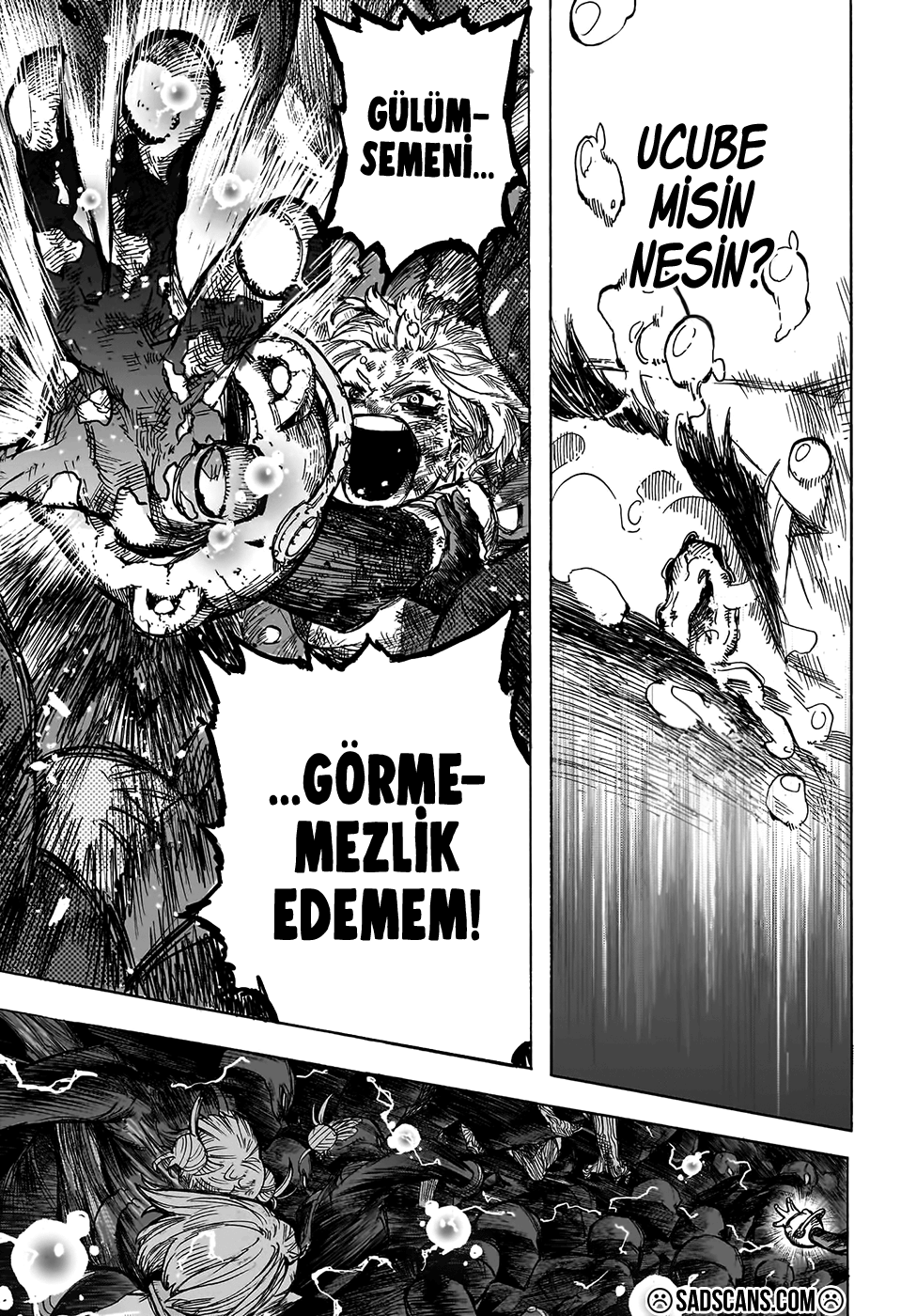 Read Boku no Hero Academia TR Manga Online