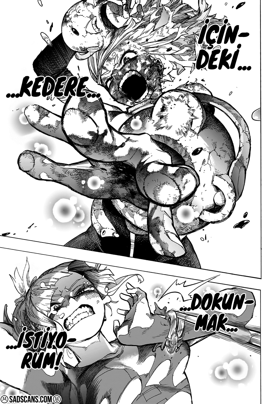 Read Boku no Hero Academia TR Manga Online