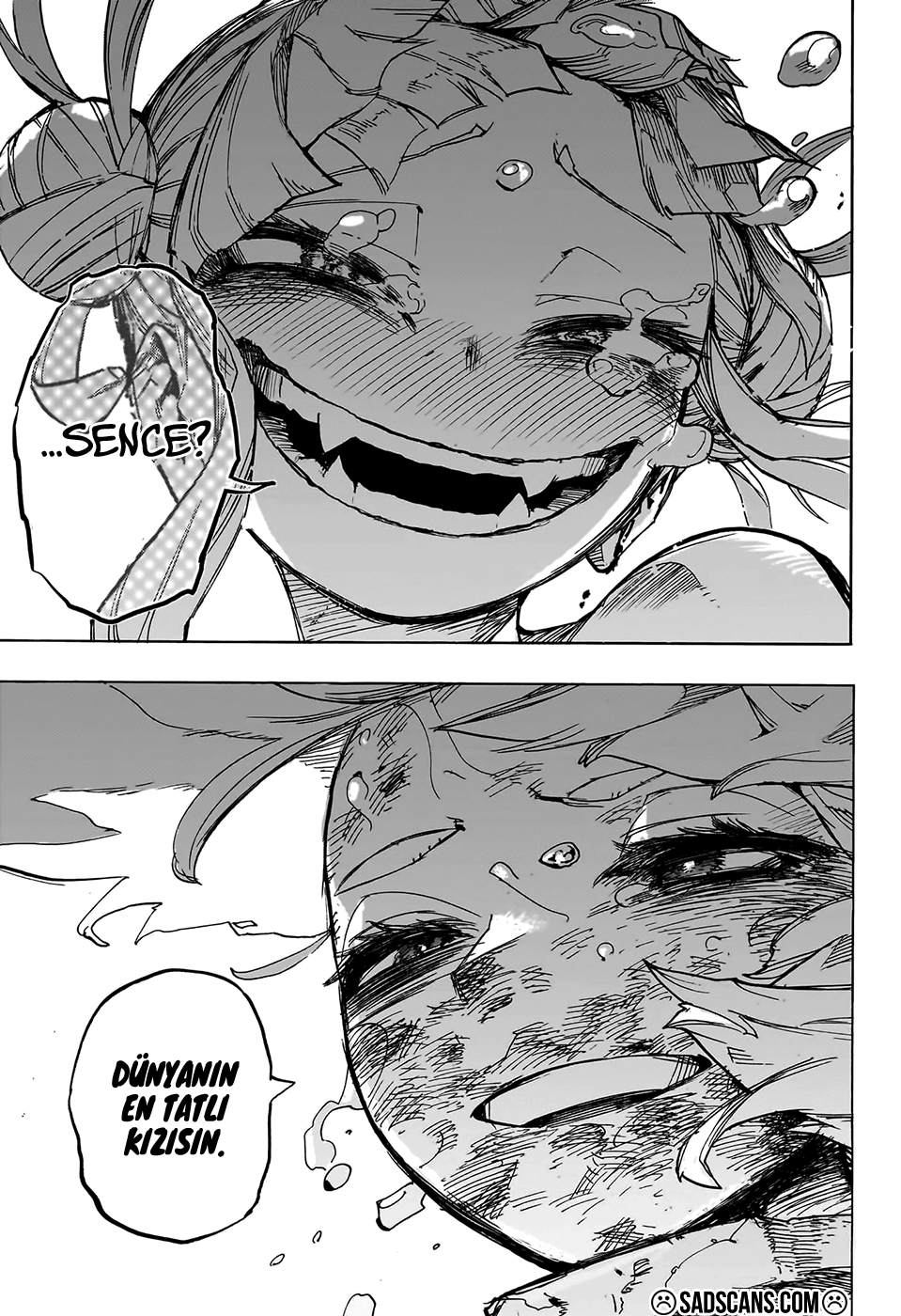 Read Boku no Hero Academia TR Manga Online