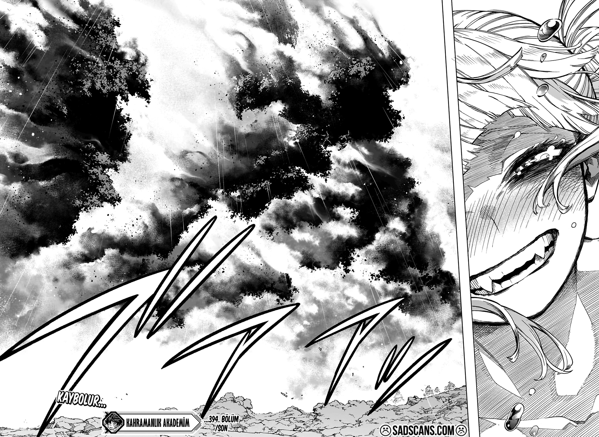Read Boku no Hero Academia TR Manga Online