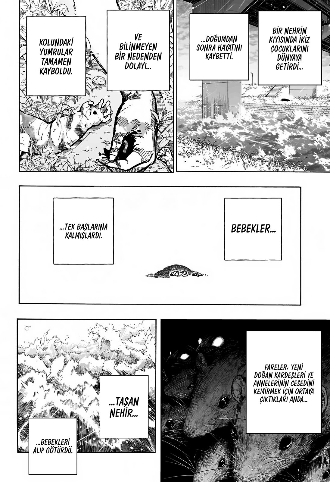Read Boku no Hero Academia TR Manga Online