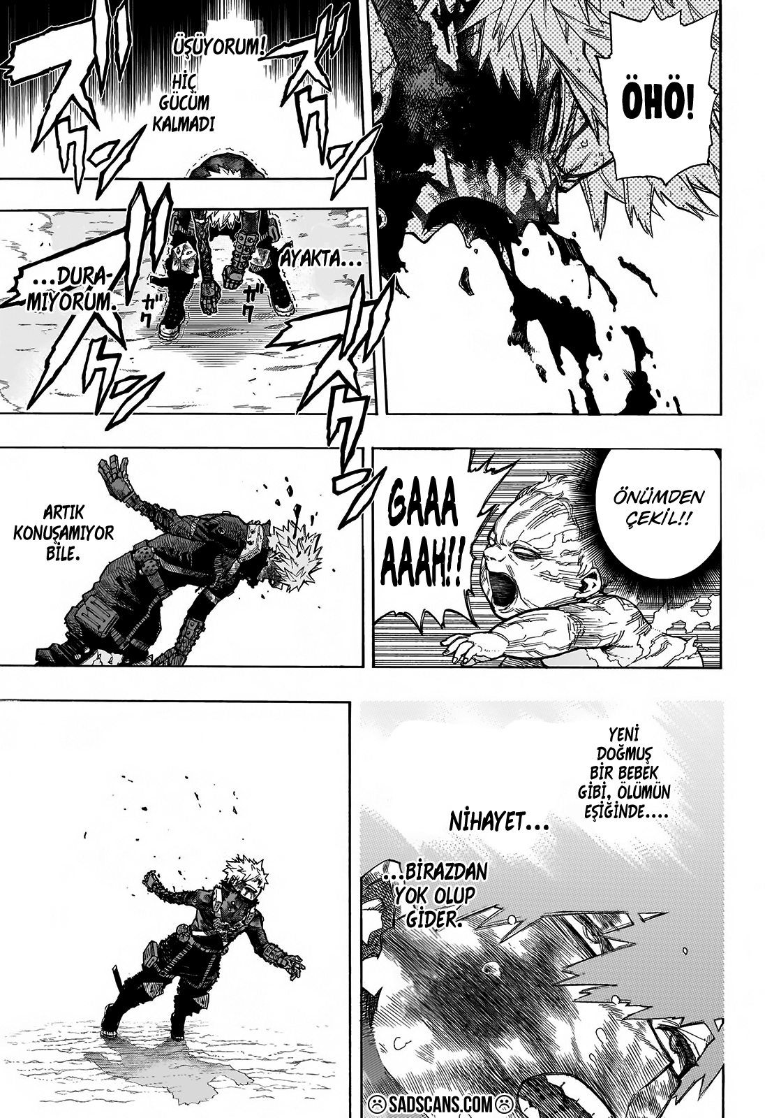 Read Boku no Hero Academia TR Manga Online