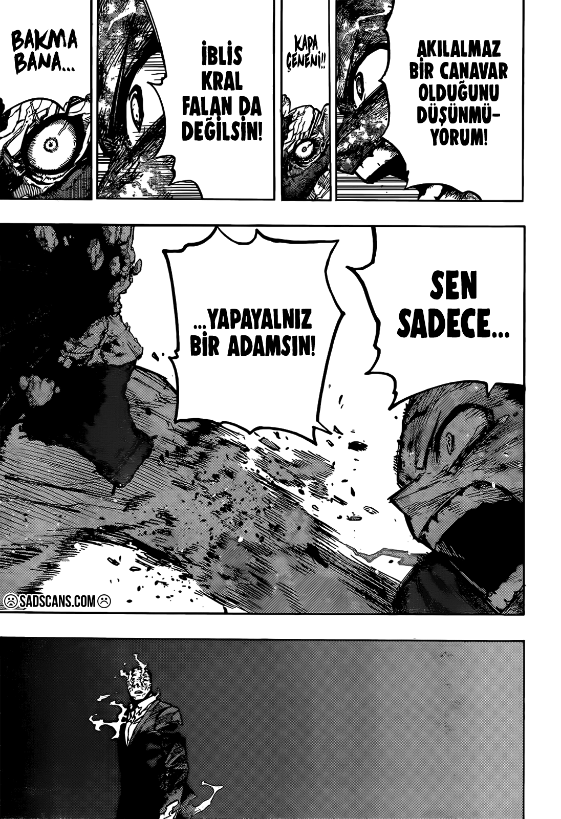Read Boku no Hero Academia TR Manga Online