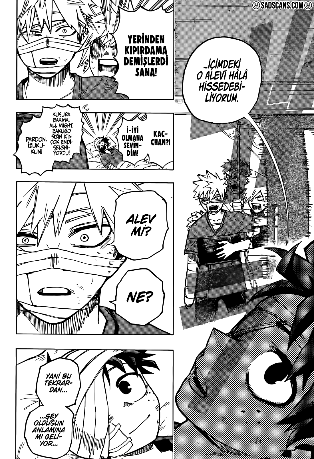 Read Boku no Hero Academia TR Manga Online