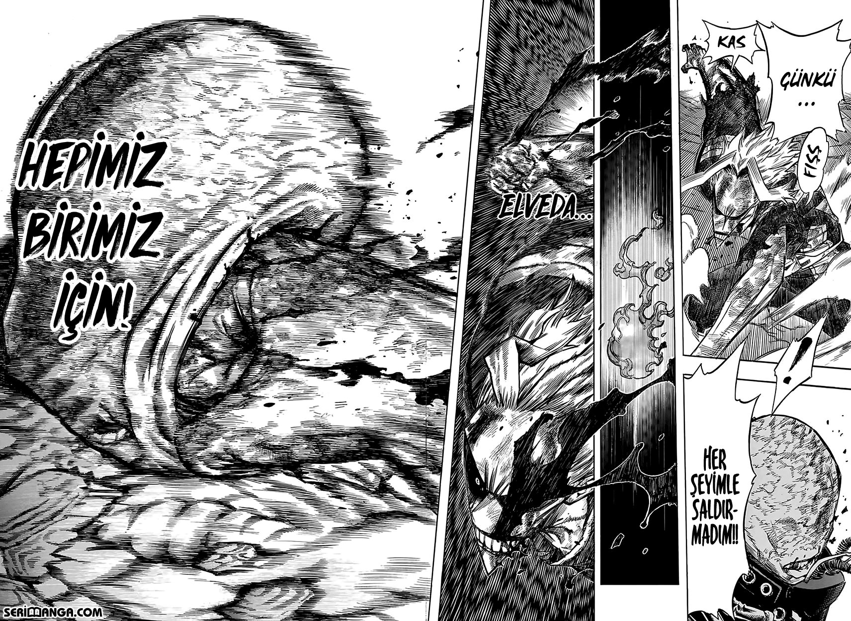 Read Boku no Hero Academia TR Manga Online