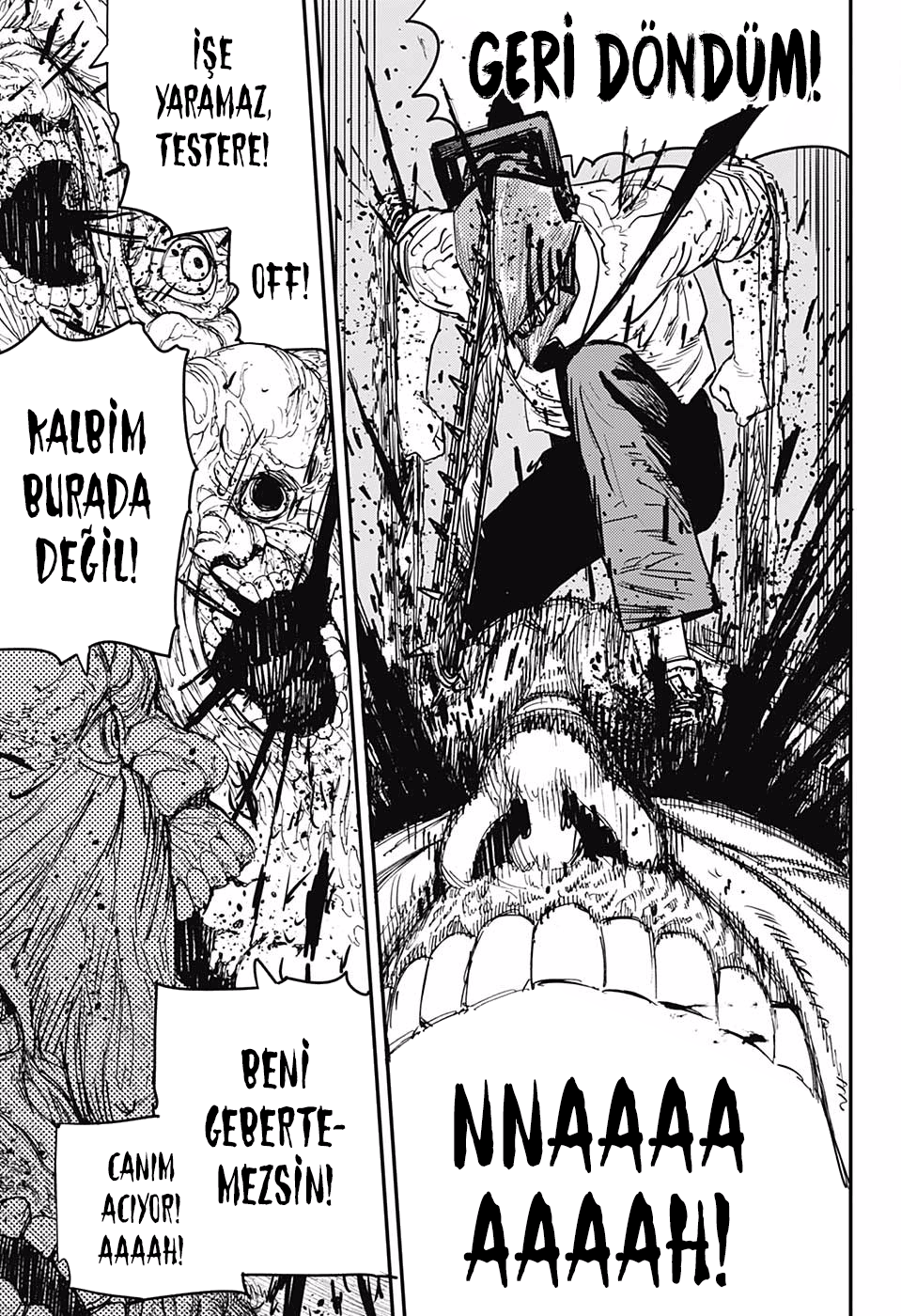 Read Chainsaw Man TR Manga Online