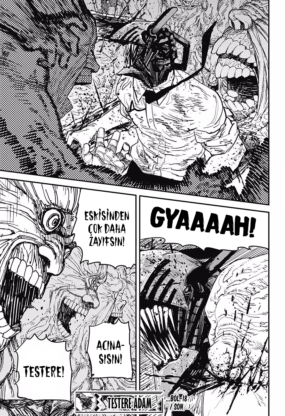 Read Chainsaw Man TR Manga Online