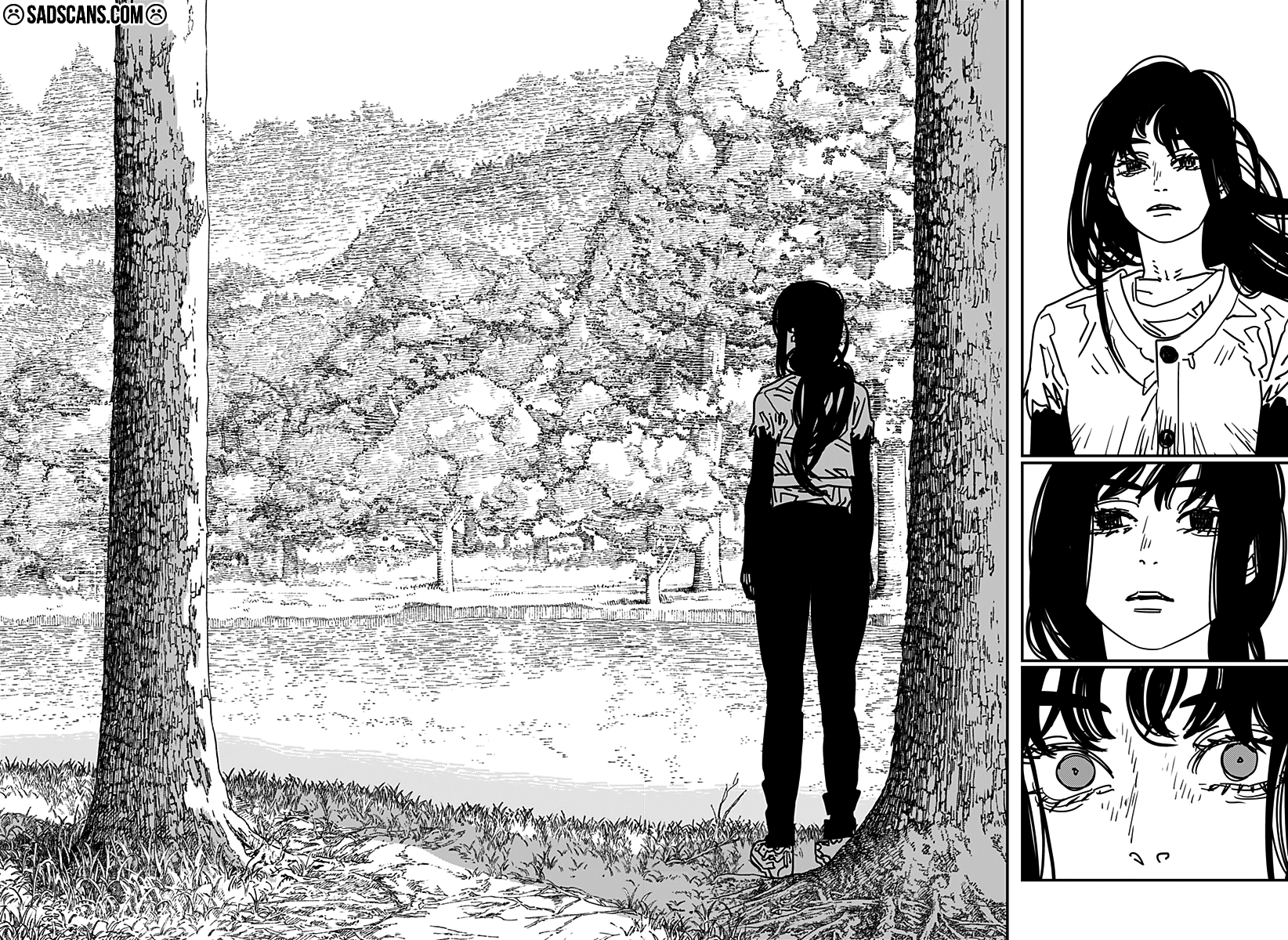 Read Chainsaw Man TR Manga Online