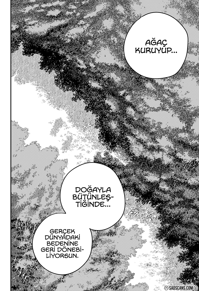 Read Chainsaw Man TR Manga Online