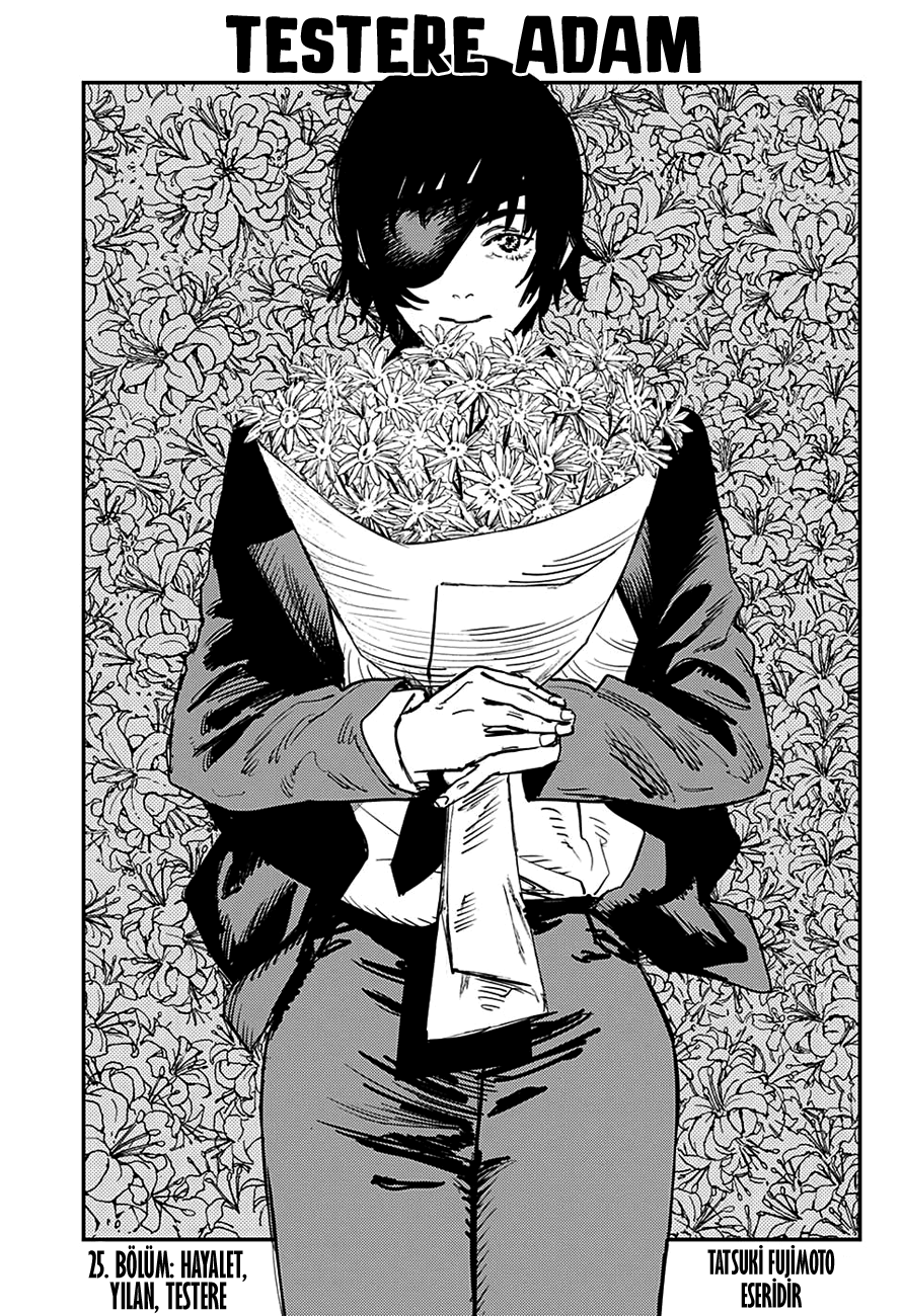 Read Chainsaw Man TR Manga Online
