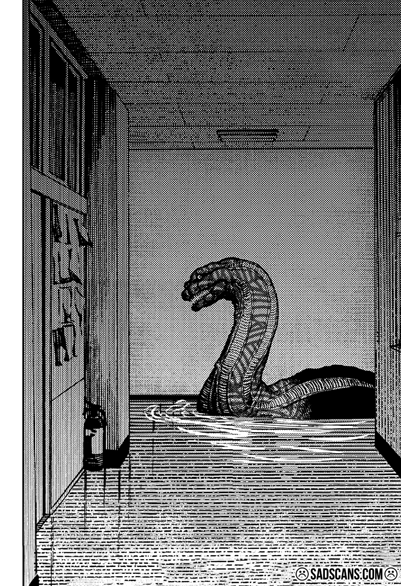 Read Dandadan TR Manga Online